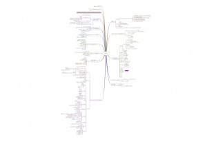 XMind - :NaoHD:Mind Map:XMind:Nao:20131203アメブロ基礎セミナー